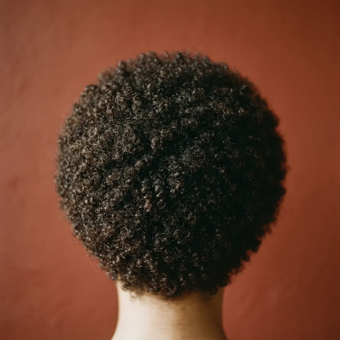 Coils shaped dry, curl by curl